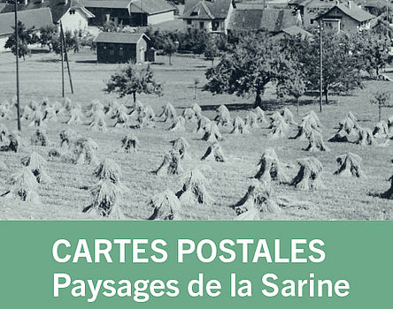 Cartes postales, paysages de la Sarine